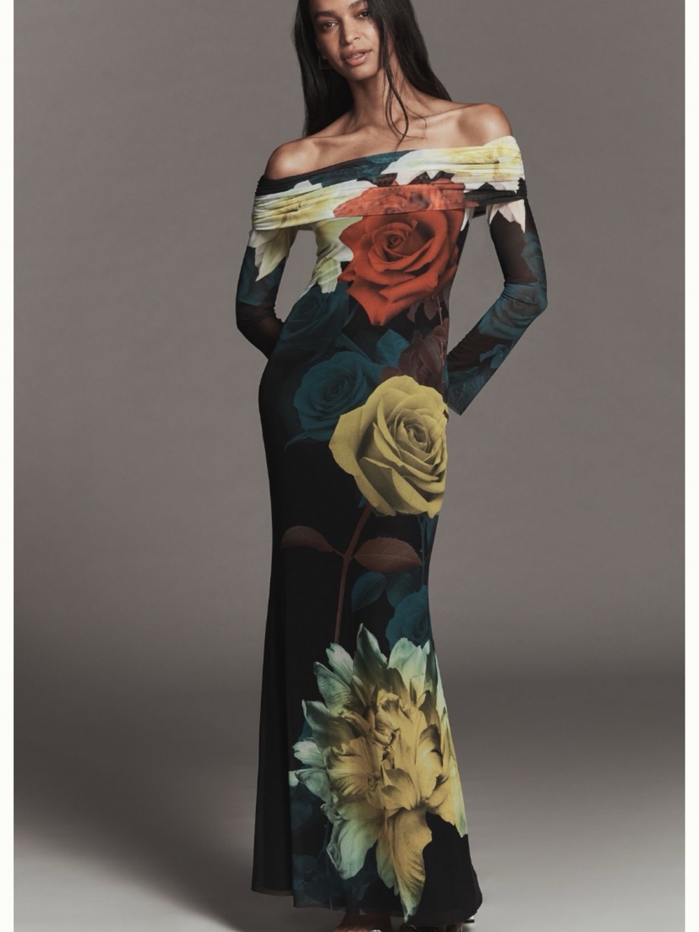 NWT Anthro AFRM Long-Sleeve Off-The-Shoulder Citron Blossom Rose Mesh Maxi Dress
